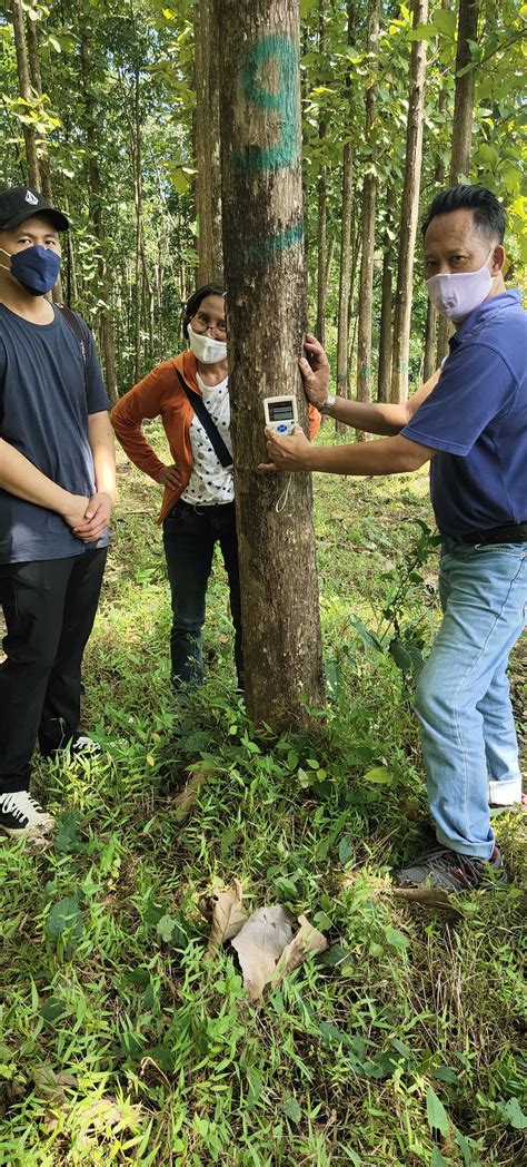 rfid tags for trees